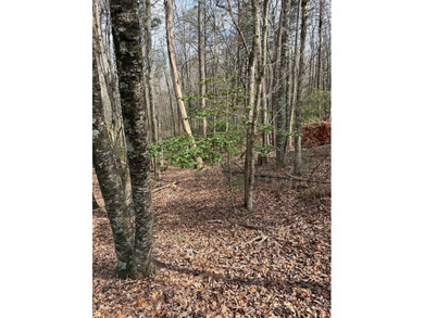 Beautiful .84-acre homesite in Buckhorn Estates located at Lot on White Path Golf Club in Georgia - for sale on GolfHomes.com, golf home, golf lot