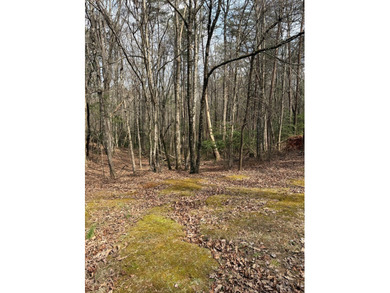 Beautiful .84-acre homesite in Buckhorn Estates located at Lot on White Path Golf Club in Georgia - for sale on GolfHomes.com, golf home, golf lot