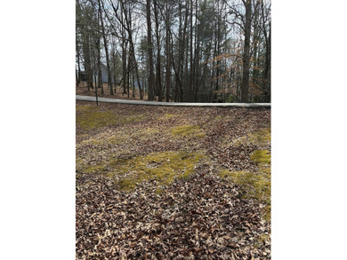 Beautiful .84-acre homesite in Buckhorn Estates located at Lot on White Path Golf Club in Georgia - for sale on GolfHomes.com, golf home, golf lot