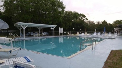 UPDATED SINGLE WIDE MOBILE HOME IN ACTIVE 55+ COMMUNITY! Stay on River Run Golf Links in Florida - for sale on GolfHomes.com, golf home, golf lot