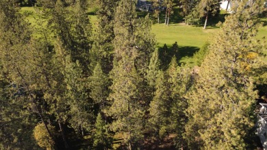 Build your dream home on this exceptional Chewelah Golf Course on  in Washington - for sale on GolfHomes.com, golf home, golf lot