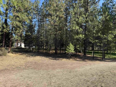 Build your dream home on this exceptional Chewelah Golf Course on  in Washington - for sale on GolfHomes.com, golf home, golf lot