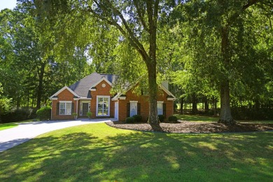 Exceptional Custom Built 4-bedroom 3-bath beauty in Move-In on The Links At Stoney Point in South Carolina - for sale on GolfHomes.com, golf home, golf lot