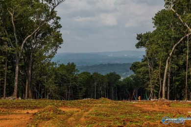 ONE OF THE LAST ON THE SOUTH SIDE- South Ridge at The Ledges is on The Ledges Country Club in Alabama - for sale on GolfHomes.com, golf home, golf lot