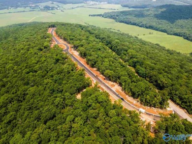 ONE OF THE LAST ON THE SOUTH SIDE- South Ridge at The Ledges is on The Ledges Country Club in Alabama - for sale on GolfHomes.com, golf home, golf lot