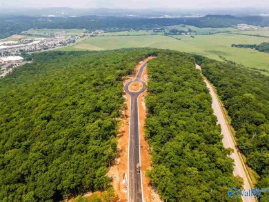ONE OF THE LAST ON THE SOUTH SIDE- South Ridge at The Ledges is on The Ledges Country Club in Alabama - for sale on GolfHomes.com, golf home, golf lot