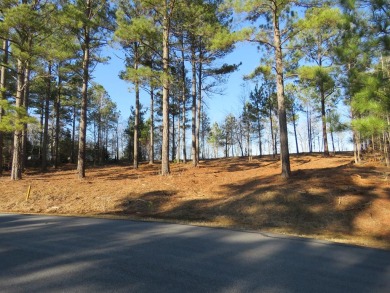 For the discerning future homebuilder who demands a SPECTACULAR on The Links At Stoney Point in South Carolina - for sale on GolfHomes.com, golf home, golf lot