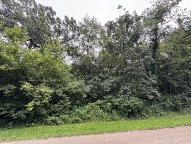 Discover the perfect blend of natural beauty and community on Lost Nation Golf Club in Illinois - for sale on GolfHomes.com, golf home, golf lot