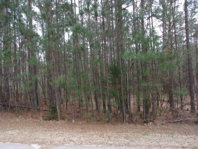 If you are looking for peace and quiet this is the lot to build on Monticello Golf Club At Savannah Lakes in South Carolina - for sale on GolfHomes.com, golf home, golf lot