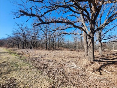 2 Corner lots with Mature Oak trees. Great building site .66 of on Nocona Hills Golf Course in Texas - for sale on GolfHomes.com, golf home, golf lot