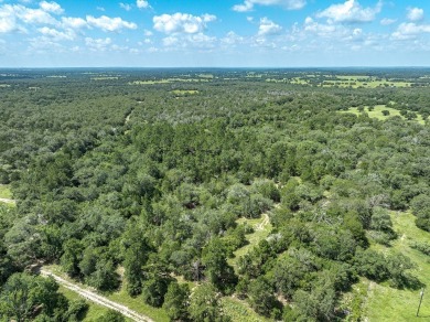 21 Acres | Lee County, TX

Discover 21 acres of natural beauty on Giddings Municipal Golf Course in Texas - for sale on GolfHomes.com, golf home, golf lot