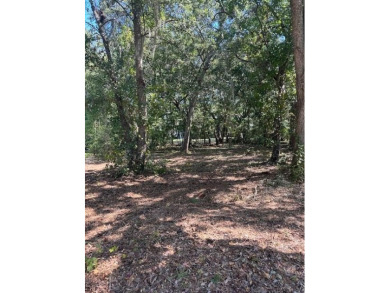 A chance to build near the beach yet without the flood on Kiawah Island Resort - Oak Point in South Carolina - for sale on GolfHomes.com, golf home, golf lot