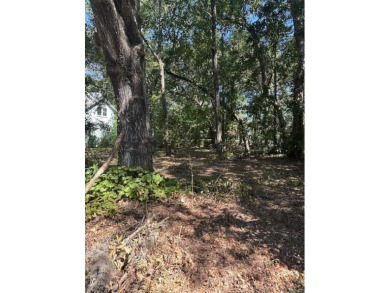 A chance to build near the beach yet without the flood on Kiawah Island Resort - Oak Point in South Carolina - for sale on GolfHomes.com, golf home, golf lot