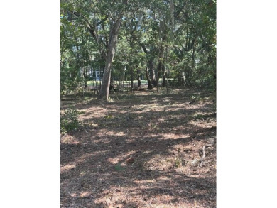 A chance to build near the beach yet without the flood on Kiawah Island Resort - Oak Point in South Carolina - for sale on GolfHomes.com, golf home, golf lot