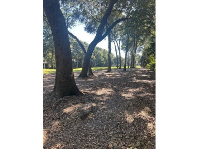 A chance to build near the beach yet without the flood on Kiawah Island Resort - Oak Point in South Carolina - for sale on GolfHomes.com, golf home, golf lot