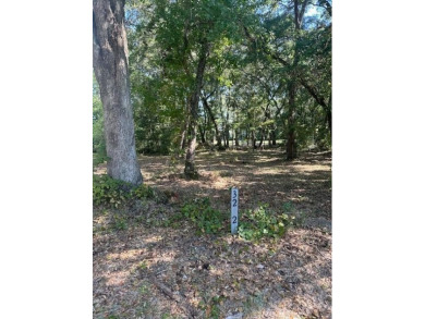 A chance to build near the beach yet without the flood on Kiawah Island Resort - Oak Point in South Carolina - for sale on GolfHomes.com, golf home, golf lot