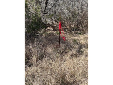 Great Lot with distant water view, partially cleared, backs up on White Bluff Resort - Old Course in Texas - for sale on GolfHomes.com, golf home, golf lot