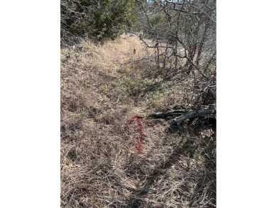 Great Lot with distant water view, partially cleared, backs up on White Bluff Resort - Old Course in Texas - for sale on GolfHomes.com, golf home, golf lot
