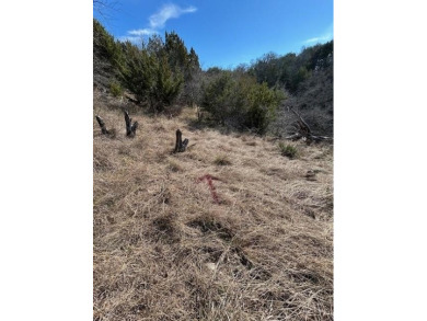 Great Lot with distant water view, partially cleared, backs up on White Bluff Resort - Old Course in Texas - for sale on GolfHomes.com, golf home, golf lot