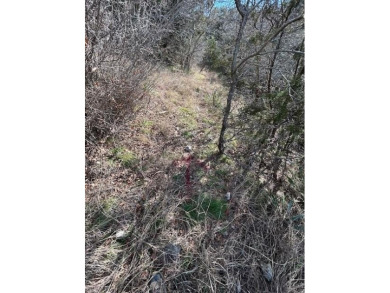 Great Lot with distant water view, partially cleared, backs up on White Bluff Resort - Old Course in Texas - for sale on GolfHomes.com, golf home, golf lot