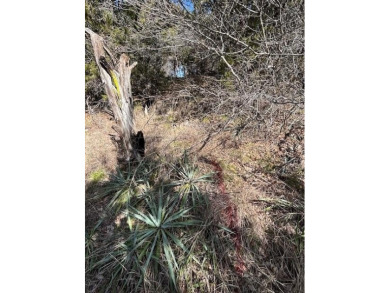 Great Lot with distant water view, partially cleared, backs up on White Bluff Resort - Old Course in Texas - for sale on GolfHomes.com, golf home, golf lot
