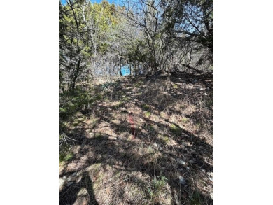 Great Lot with distant water view, partially cleared, backs up on White Bluff Resort - Old Course in Texas - for sale on GolfHomes.com, golf home, golf lot