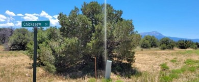 A corner lot, with views of the Majestic Spanish Peaks and 3.59 on Walsenburg Golf Club in Colorado - for sale on GolfHomes.com, golf home, golf lot