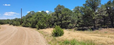 A corner lot, with views of the Majestic Spanish Peaks and 3.59 on Walsenburg Golf Club in Colorado - for sale on GolfHomes.com, golf home, golf lot