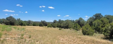 A corner lot, with views of the Majestic Spanish Peaks and 3.59 on Walsenburg Golf Club in Colorado - for sale on GolfHomes.com, golf home, golf lot