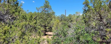 A corner lot, with views of the Majestic Spanish Peaks and 3.59 on Walsenburg Golf Club in Colorado - for sale on GolfHomes.com, golf home, golf lot