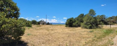 A corner lot, with views of the Majestic Spanish Peaks and 3.59 on Walsenburg Golf Club in Colorado - for sale on GolfHomes.com, golf home, golf lot