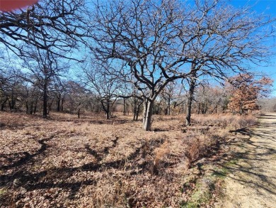 Great building site with mature shade trees, .62 of an acre on Nocona Hills Golf Course in Texas - for sale on GolfHomes.com, golf home, golf lot