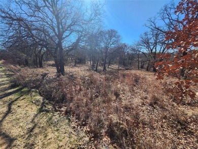 Great building site with mature shade trees, .62 of an acre on Nocona Hills Golf Course in Texas - for sale on GolfHomes.com, golf home, golf lot