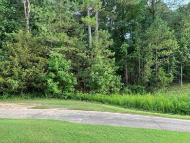 REDUCED $35,000...GRANADA GOLF COURSE IN YOUR BACK YARD...93 on Granada Golf Course in Arkansas - for sale on GolfHomes.com, golf home, golf lot