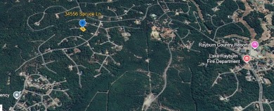 Build your East Texas dream home in Rayburn Country! Enjoy all on Rayburn Country Club in Texas - for sale on GolfHomes.com, golf home, golf lot