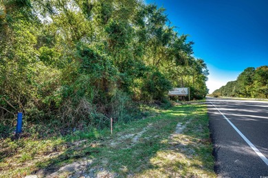Family owned land.   Currently zoned Agriculture.  Could be on True Blue Plantation in South Carolina - for sale on GolfHomes.com, golf home, golf lot