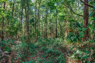 Family owned land.   Currently zoned Agriculture.  Could be on True Blue Plantation in South Carolina - for sale on GolfHomes.com, golf home, golf lot