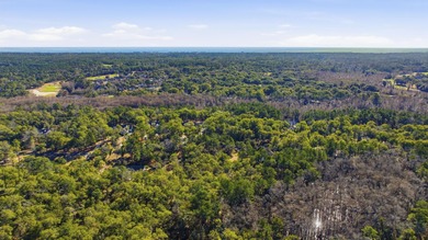 Rare opportunity to build in the esteemed Island Estates section on The Reserve Golf Club at Pawleys Island in South Carolina - for sale on GolfHomes.com, golf home, golf lot