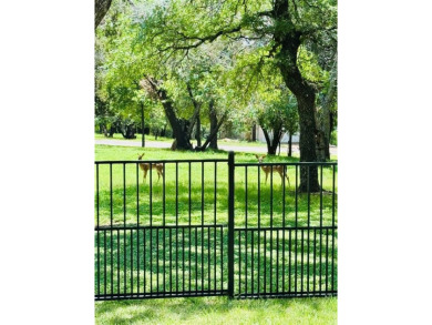 Welcome to 16008, a Mark Greer custom home. This beautifully on White Bluff Resort - Old Course in Texas - for sale on GolfHomes.com, golf home, golf lot