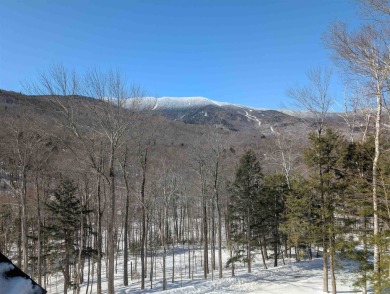 Newly crafted to the highest standards by award-winning Aaron on Sugarbush Golf Club in Vermont - for sale on GolfHomes.com, golf home, golf lot