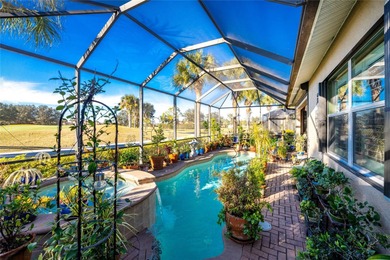 Lush Fairways Views and Your Own Private Poolside Oasis! on Venetian Golf and River Club in Florida - for sale on GolfHomes.com, golf home, golf lot
