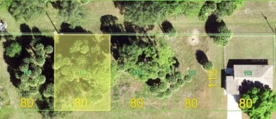 BUILD your DREAM Home or INVEST on this 80 x110 lot in the on Rotonda Golf and Country Club The Hills Course in Florida - for sale on GolfHomes.com, golf home, golf lot