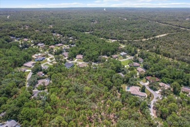 PRICED BELOW APPRAISED VALUE! This spacious and thoughtfully on Sugarmill Woods Golf and Country Club in Florida - for sale on GolfHomes.com, golf home, golf lot