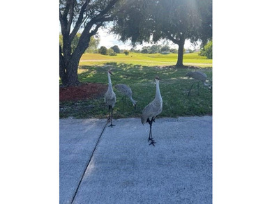 SELLER WILL PAY FIRST YEAR LAND OF LEASE, present rate. Welcome on Savanna Golf Club in Florida - for sale on GolfHomes.com, golf home, golf lot