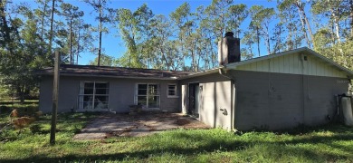 ** Rare Investment Opportunity in Wesley Chapel: 6906 Quail on Quail Hollow Golf and Country Club in Florida - for sale on GolfHomes.com, golf home, golf lot