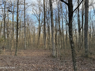 This beautiful, wooded lot in a nice community, is perfect for on Mountain Ridge Golf Club in Tennessee - for sale on GolfHomes.com, golf home, golf lot