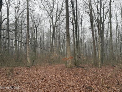 This beautiful, wooded lot in a nice community, is perfect for on Mountain Ridge Golf Club in Tennessee - for sale on GolfHomes.com, golf home, golf lot