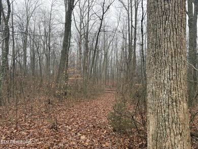 This beautiful, wooded lot in a nice community, is perfect for on Mountain Ridge Golf Club in Tennessee - for sale on GolfHomes.com, golf home, golf lot