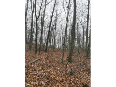 This beautiful, wooded lot in a nice community, is perfect for on Mountain Ridge Golf Club in Tennessee - for sale on GolfHomes.com, golf home, golf lot