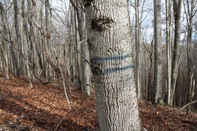 PRICE REDUCTION - Lot 15 - 2.52 Acres (M/L) - Located in on Pipestem Golf Club - Regulation in West Virginia - for sale on GolfHomes.com, golf home, golf lot